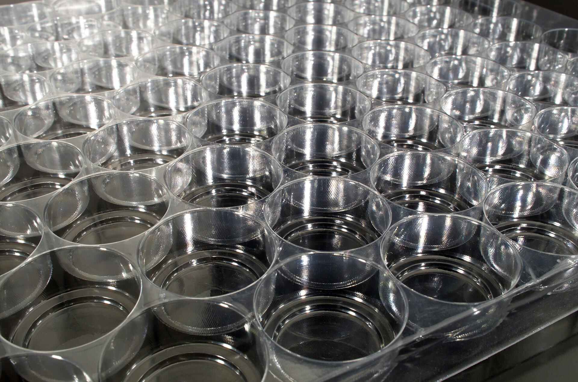 Termoformatura delle materie plastiche per gli imballi alimentari | GLPS