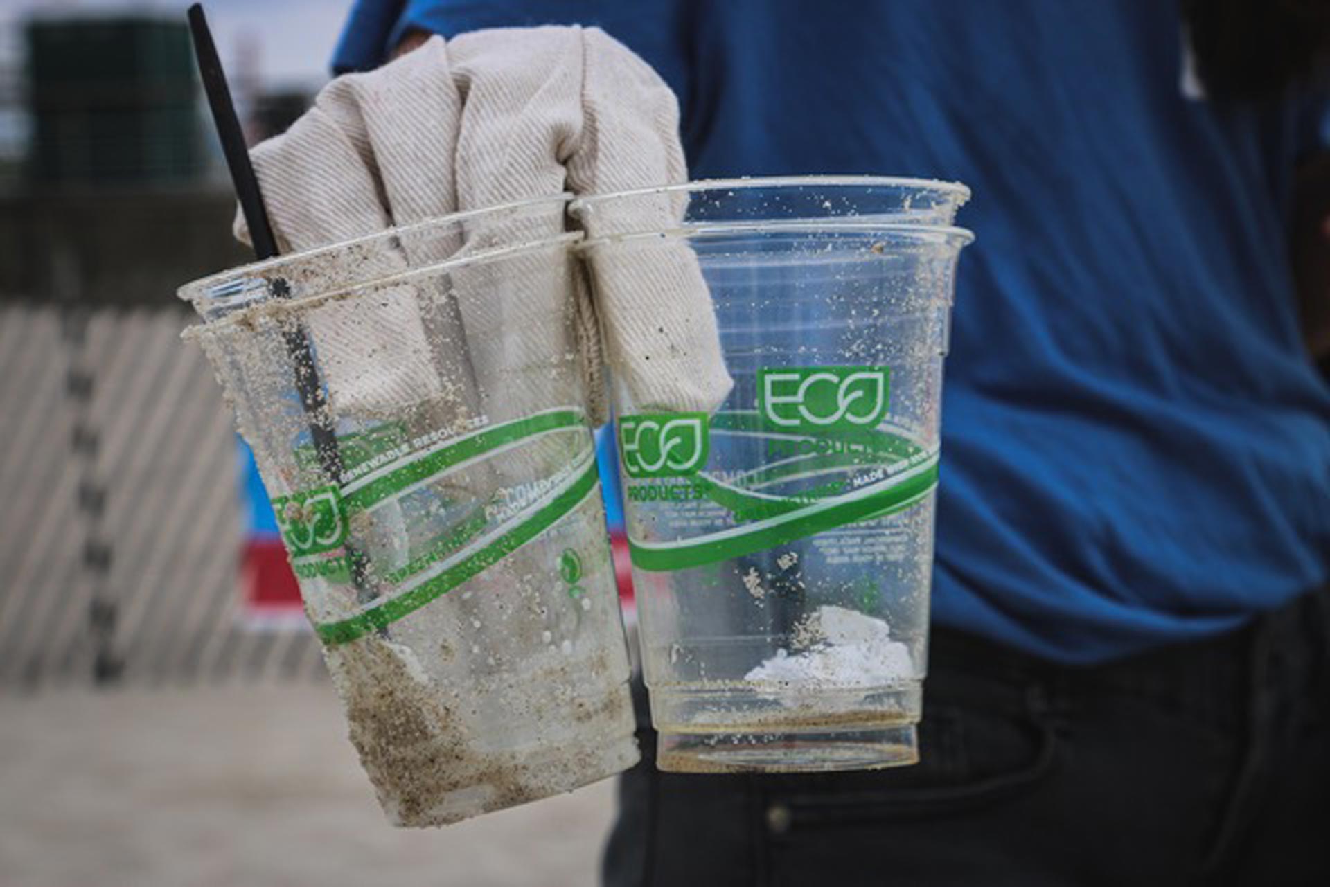 Greenwashing: carta ed altri miti | GLPS