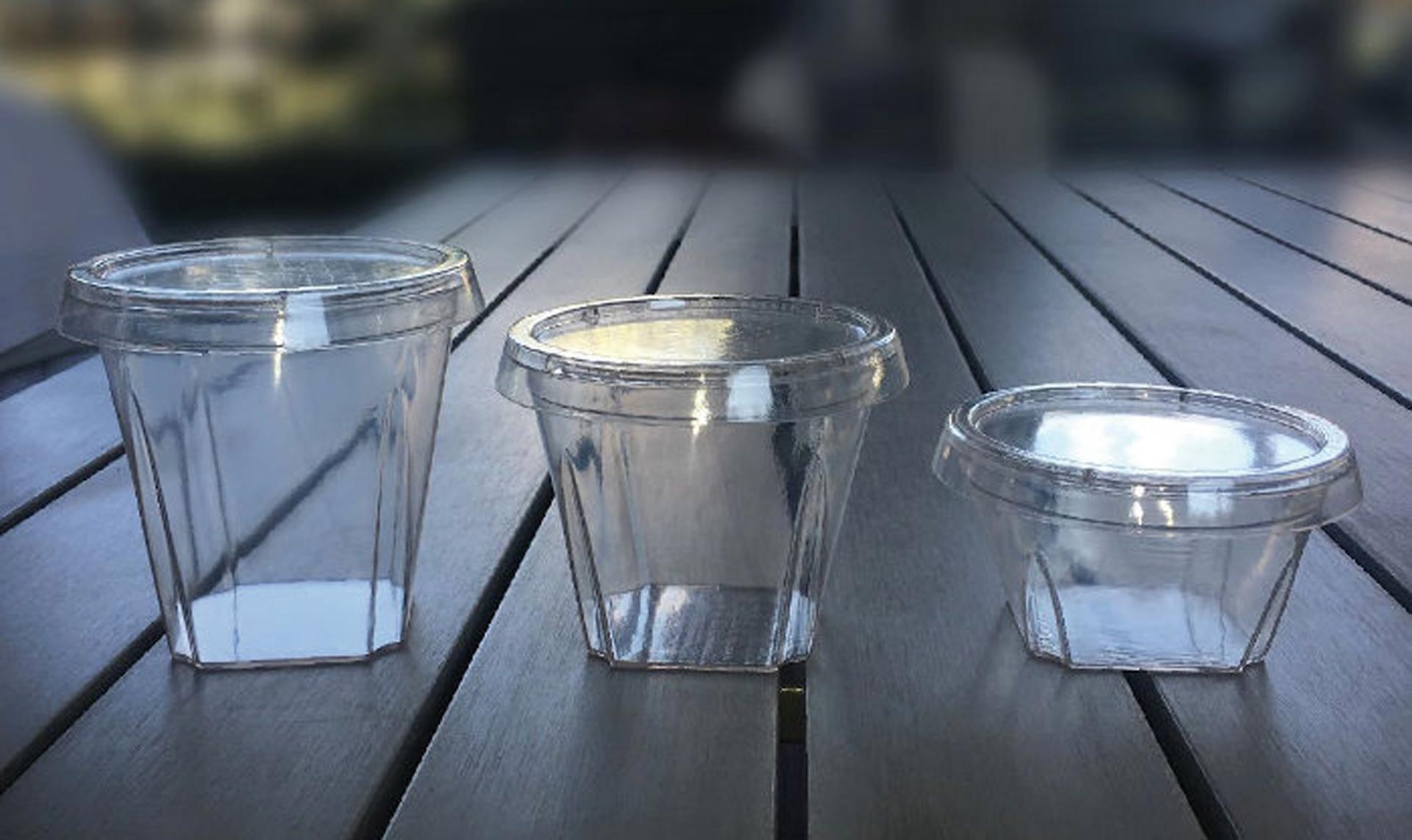 Soluzioni innovative per la conservazione dei dessert: vaschette e contenitori in polipropilene e PET | GLPS